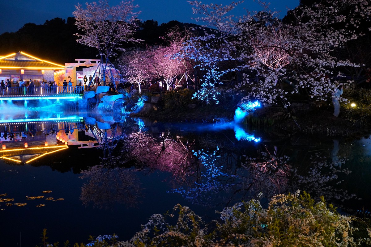spring in wuhan