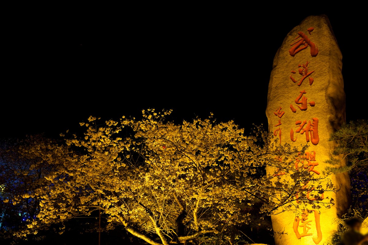 spring in wuhan