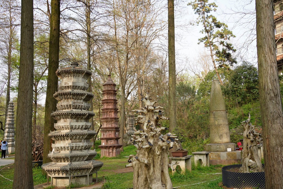 spring in wuhan